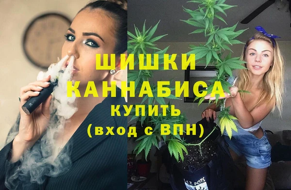 mdma Бородино