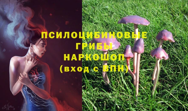 тгк Бугульма