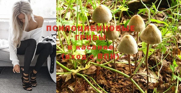тгк Бугульма
