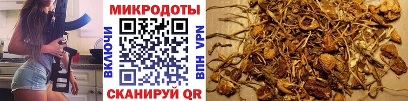 Галлюциногенные грибы GOLDEN TEACHER  Купить  Малоархангельск 